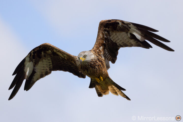 red kite flying up in the sky with light clouds
