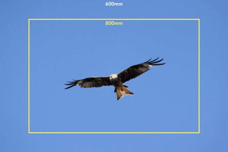 red kite flying in the blue sky, with bright yellow frame to show the field of view of the 800mm lens