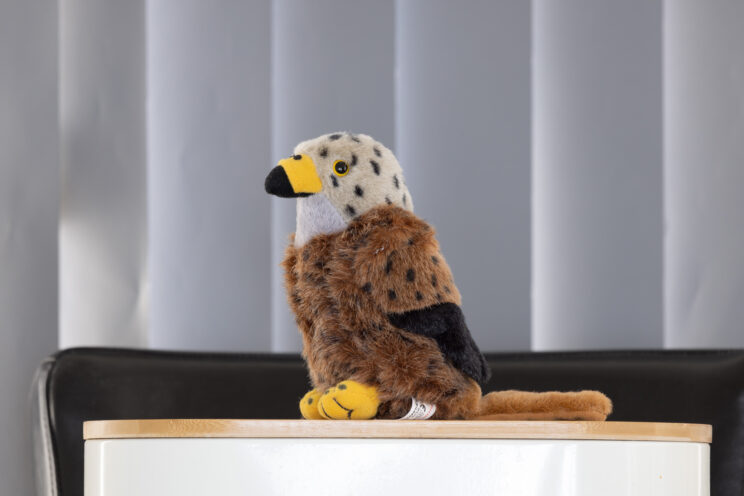 red kite stuffed toy on an undefined background