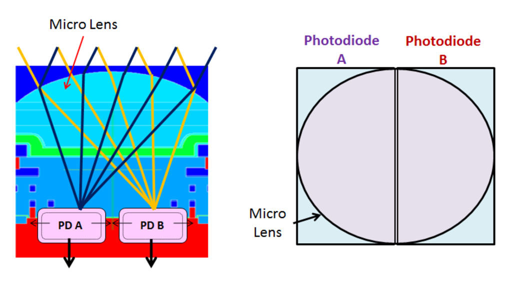 illustration of the Canon dual pixel cmos af showing the two photodiodes