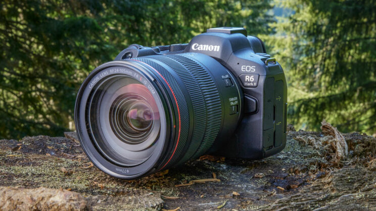 Canon R6 II with 24-105mm F4 in a forest environment