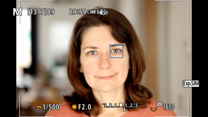 screenshot from the live view of the Canon EOS R6 showing eye detection at work with the head-shot portrait of a woman