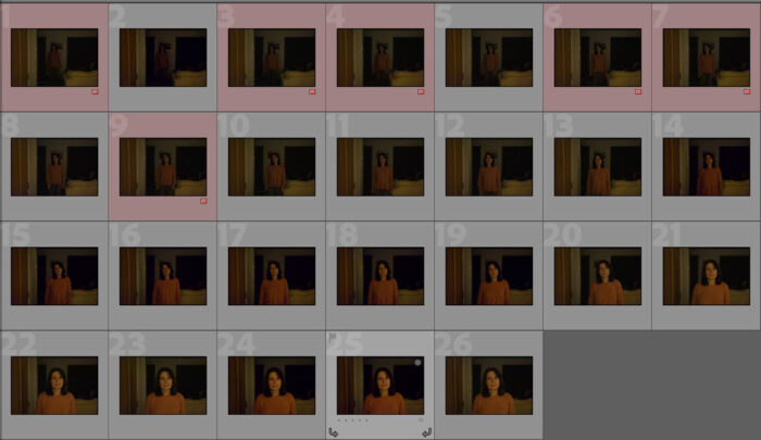 screenshot of thumbnail images from Lightroom Classic showing the amount of images out of focus (marked in red)