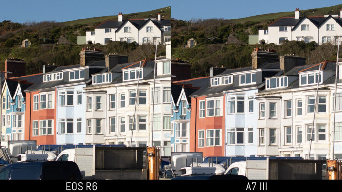 centre crop of the reference image showing the difference in magnification between 20MP and 24MP when viewed at 100%