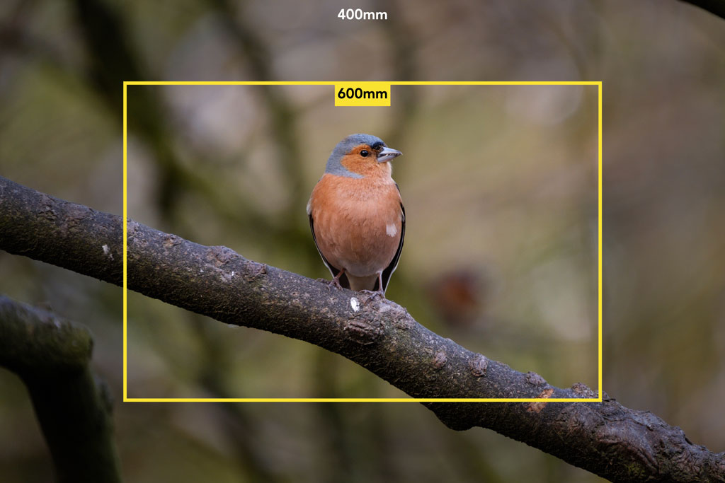 Difference in field of view between 400mm and 600mm
