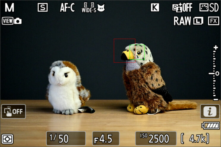 Live View on the Nikon Z9 showing the Wide-Small area next to a bird