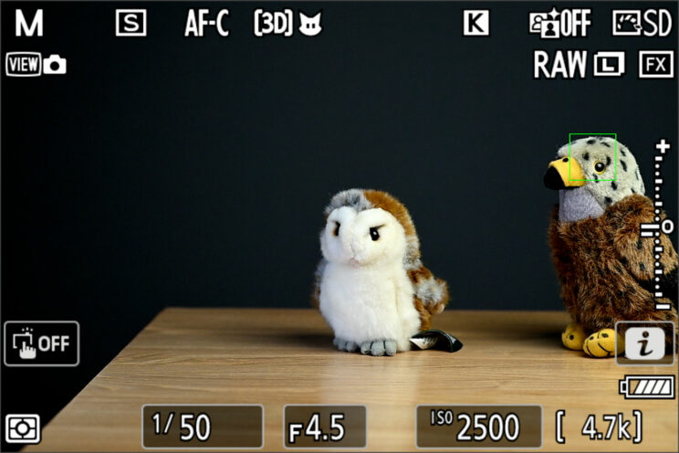 Live View on the Nikon Z9 showing 3D Tracking focusing on the bird even when he is at the edge of the frame.