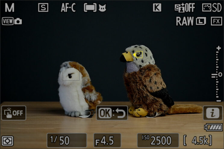 Live View on the Nikon Z9 showing the Auto-area AF mode detecing two birds in the scene.