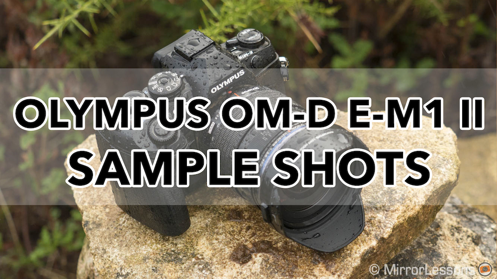 olympus omd em1 mark ii sample images
