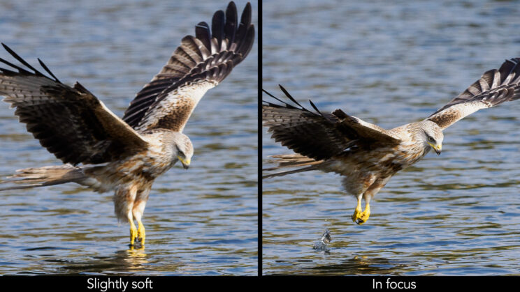 side by side crop showing a frame slightly soft on the left and the next frame in focus on the right (kite above water)
