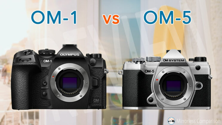 OM-1 and OM-5 side by side
