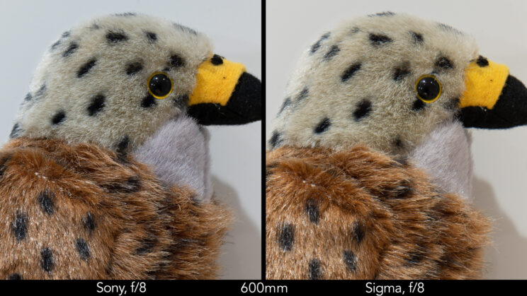 side by side image of a stuffed bird toy, showing the difference in sharpness at f/8 and 600mm
