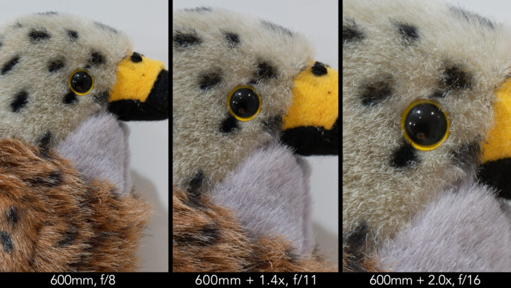 side by side image showing the sharpness of the Sony lens at 600mm with and without teleconverters, at f/8, f/11 and f/16 respectively