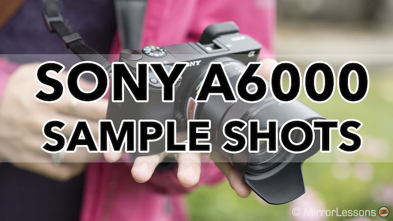 Sony a6000 sample shots