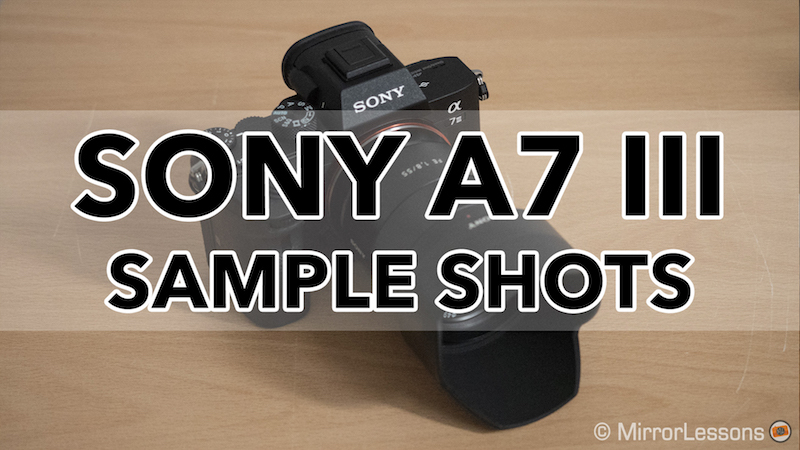 sony a7 mark iii sample images