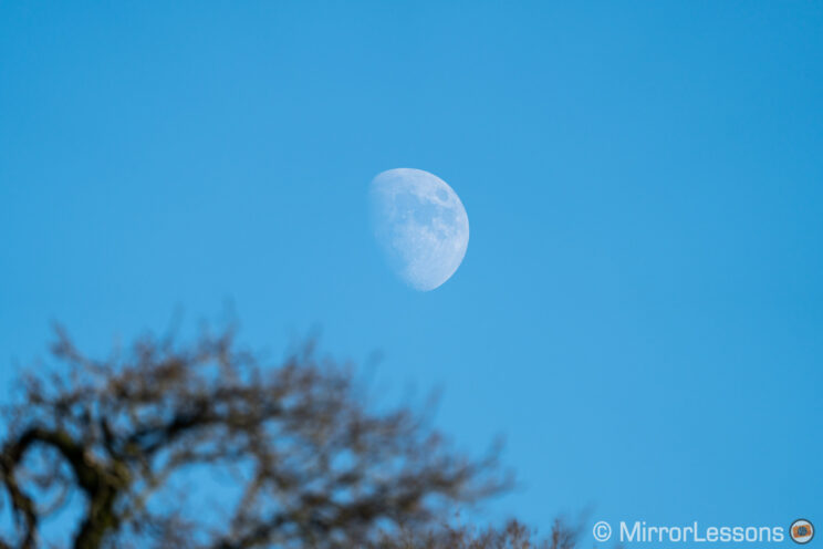 moon with blue sky and out of focus tree in the foreground