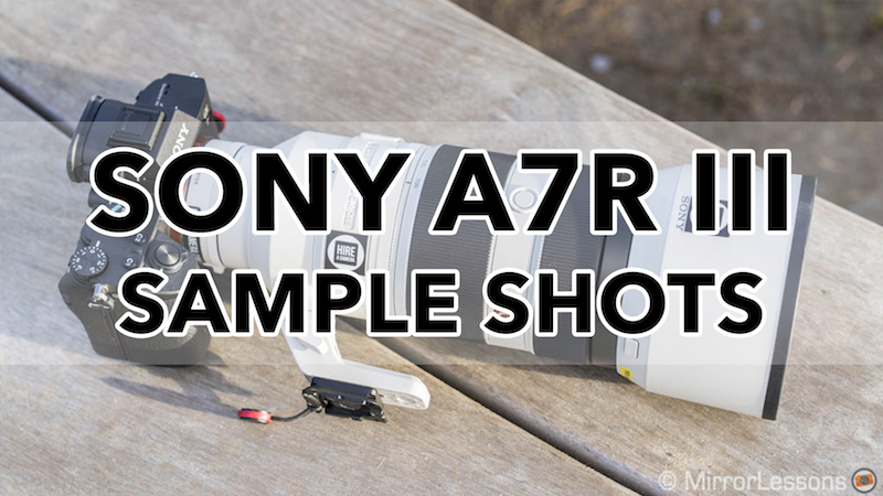 sony a7riii sample images