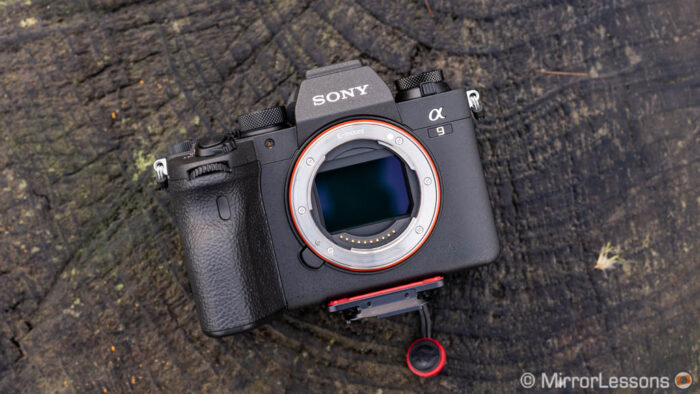 Sony A9 II, front view, resting on a tree log, without sensor cap