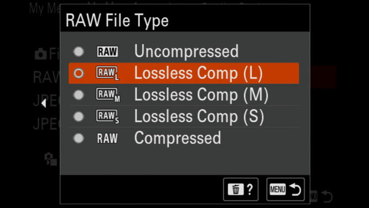 Lossless RAW setting on Sony Alpha cameras