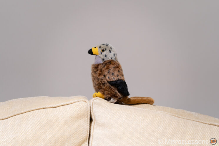 stuffed red kite toy on the top of the couch, with white wall behind it